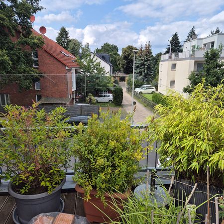 Ganzglasgeländer und Windschutz an einem bestehenden Stahlgeländer (Sonderkonstruktion)